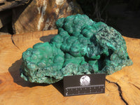 Natural Extra Large Botryoidal Malachite Specimen x 1 From Kolwezi, Congo - TopRock