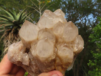 Natural Cascading White Phantom Smokey Quartz Clusters  x 3 From Luena, Congo - Toprock Gemstones and Minerals 