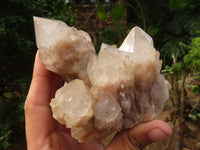 Natural Cascading White Phantom Smokey Quartz Clusters  x 3 From Luena, Congo - Toprock Gemstones and Minerals 