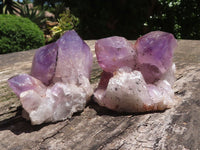 Natural Jacaranda Amethyst Crystal Clusters  x 6 From Mumbwa, Zambia - TopRock