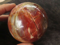 Polished Petrified Red Podocarpus Wood Spheres  x 2 From Mahajanga, Madagascar - TopRock