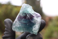 Natural Cobbed & Stone Sealed Watermelon Fluorite Pieces x 24 From Uis, Namibia - TopRock