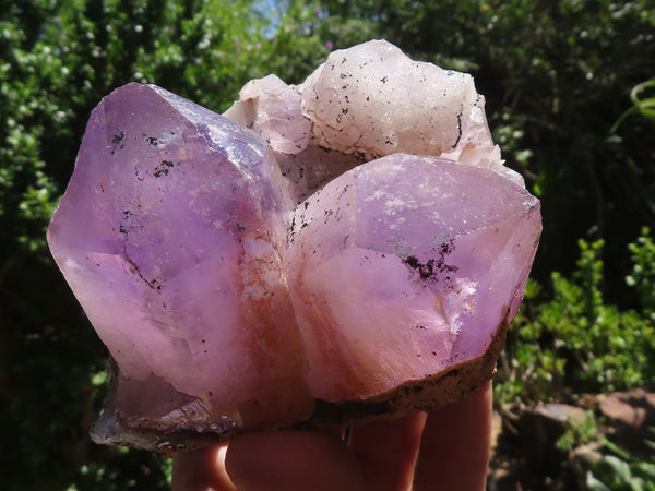 Natural Jacaranda Amethyst Crystal Clusters  x 6 From Mumbwa, Zambia - TopRock