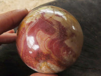 Polished Petrified Red Podocarpus Wood Spheres  x 2 From Mahajanga, Madagascar - TopRock