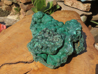 Natural Extra Large Botryoidal Malachite Specimen x 1 From Kolwezi, Congo - TopRock