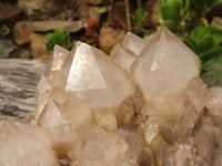 Natural Cascading White Phantom Smokey Quartz Clusters  x 3 From Luena, Congo - Toprock Gemstones and Minerals 