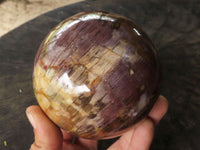 Polished Petrified Red Podocarpus Wood Spheres  x 2 From Mahajanga, Madagascar - TopRock