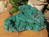 Natural Extra Large Botryoidal Malachite Specimen x 1 From Kolwezi, Congo - TopRock