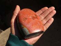 Polished Polychrome / Picasso Jasper Standing Free Forms  x 4 From Madagascar - Toprock Gemstones and Minerals 