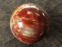 Polished Petrified Red Podocarpus Wood Spheres  x 2 From Mahajanga, Madagascar - TopRock