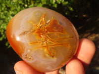 Polished Stunning Banded Agate Palm Stones  x 12 From Madagascar - Toprock Gemstones and Minerals 