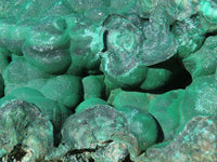 Natural Extra Large Botryoidal Malachite Specimen x 1 From Kolwezi, Congo - TopRock