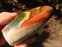 Polished Polychrome / Picasso Jasper Standing Free Forms  x 4 From Madagascar - Toprock Gemstones and Minerals 