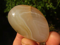 Polished Stunning Banded Agate Palm Stones  x 12 From Madagascar - Toprock Gemstones and Minerals 