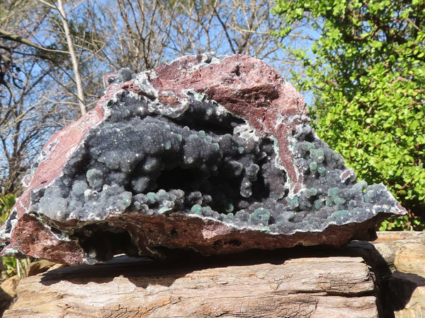 Natural Drusy Coated Malachite On Dolomite Specimen  x 1 From Likasi, Congo