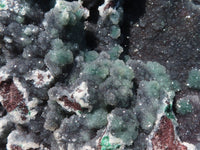 Natural Drusy Coated Malachite On Dolomite Specimen  x 1 From Likasi, Congo