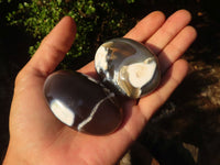 Polished Stunning Banded Agate Palm Stones  x 12 From Madagascar - Toprock Gemstones and Minerals 