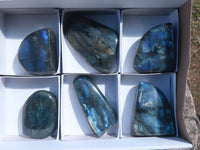 Polished Flashy Blue Labradorite Standing Free Forms  x 6 From Tulear, Madagascar - TopRock