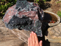 Natural Drusy Coated Malachite On Dolomite Specimen  x 1 From Likasi, Congo