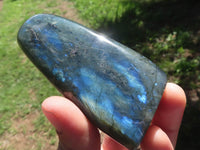 Polished Flashy Blue Labradorite Standing Free Forms  x 6 From Tulear, Madagascar - TopRock