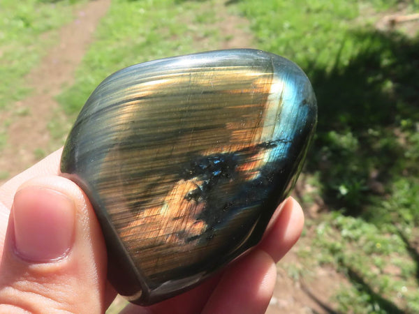 Polished Flashy Blue Labradorite Standing Free Forms  x 6 From Tulear, Madagascar - TopRock