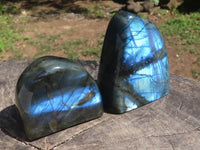 Polished Flashy Blue Labradorite Standing Free Forms  x 6 From Tulear, Madagascar - TopRock