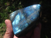 Polished Flashy Blue Labradorite Standing Free Forms  x 6 From Tulear, Madagascar - TopRock