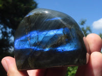 Polished Flashy Blue Labradorite Standing Free Forms  x 6 From Tulear, Madagascar - TopRock