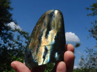 Polished Flashy Blue Labradorite Standing Free Forms  x 6 From Tulear, Madagascar - TopRock