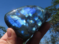 Polished Flashy Blue Labradorite Standing Free Forms  x 6 From Tulear, Madagascar - TopRock