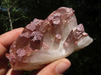 Natural Red Hematite Quartz Specimens  x 6 From Karoi, Zimbabwe - TopRock