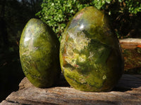 Polished Green Opal Standing Free Forms  x 4 From Madagascar - Toprock Gemstones and Minerals 