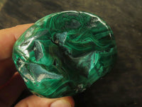 Polished Malachite Free Forms With Stunning Flower & Banding Patterns x 3 From Congo - TopRock