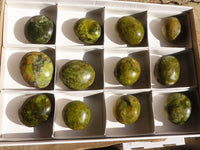 Polished Green Opal Palm Stones  x 12 From Madagascar - Toprock Gemstones and Minerals 