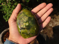 Polished Green Opal Standing Free Forms  x 4 From Madagascar - Toprock Gemstones and Minerals 