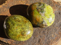 Polished Green Opal Palm Stones  x 12 From Madagascar - Toprock Gemstones and Minerals 