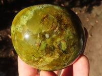 Polished Green Opal Palm Stones  x 12 From Madagascar - Toprock Gemstones and Minerals 