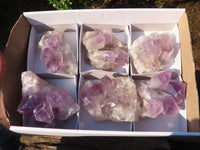 Natural Jacaranda Amethyst Clusters  x 6 From Mumbwa, Zambia - Toprock Gemstones and Minerals 