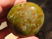 Polished Green Opal Palm Stones  x 12 From Madagascar - Toprock Gemstones and Minerals 