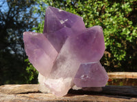 Natural Jacaranda Amethyst Clusters  x 6 From Mumbwa, Zambia - Toprock Gemstones and Minerals 