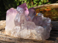 Natural Jacaranda Amethyst Clusters  x 6 From Mumbwa, Zambia - Toprock Gemstones and Minerals 