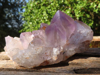 Natural Jacaranda Amethyst Clusters  x 6 From Mumbwa, Zambia - Toprock Gemstones and Minerals 