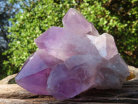 Natural Jacaranda Amethyst Clusters  x 6 From Mumbwa, Zambia - Toprock Gemstones and Minerals 