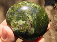 Polished Green Opal Palm Stones  x 12 From Madagascar - Toprock Gemstones and Minerals 