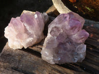 Natural Jacaranda Amethyst Clusters  x 6 From Mumbwa, Zambia - Toprock Gemstones and Minerals 