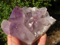 Natural Jacaranda Amethyst Clusters  x 6 From Mumbwa, Zambia - Toprock Gemstones and Minerals 