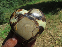 Polished Septerye Hearts x 6 From Madagascar - TopRock