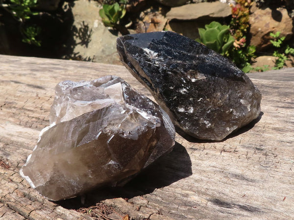 Natural Smokey Morion Quartz Crystals  x 2 From Melanje, Malawi - TopRock