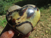 Polished Septerye Hearts x 6 From Madagascar - TopRock