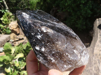 Natural Smokey Morion Quartz Crystals  x 2 From Melanje, Malawi - TopRock